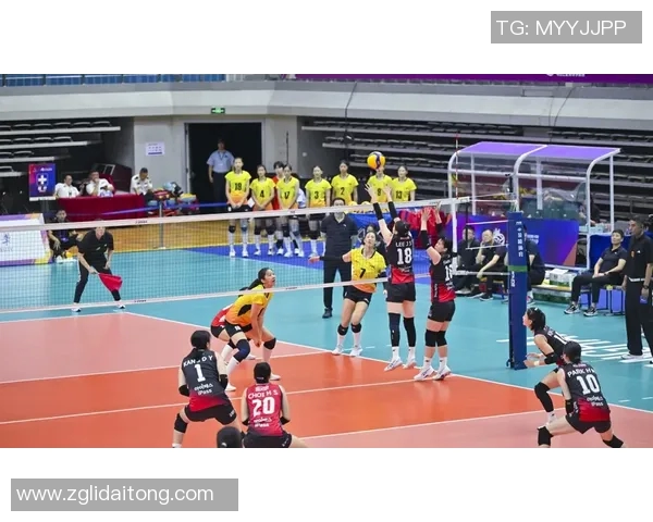 乒乓球的魅力与精神：深入了解上海乒乓球队的训练与文化